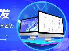 模板和定制商城APP開發(fā)費(fèi)用需要多少錢?