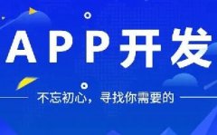 如何開發APP軟件,提高用戶體驗和吸引力?