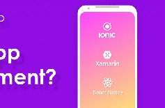 為什么要定制APP開發,APP開發定制的好處?